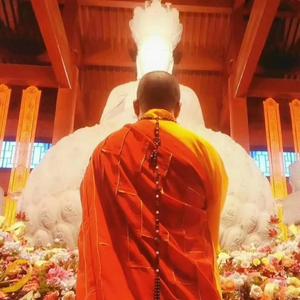姑苏居士头像