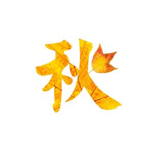 秋九影视头像