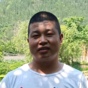田哥头像
