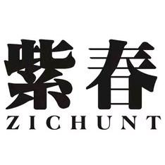 紫春影视头像