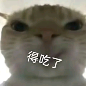 四夕的罗(三角洲)头像