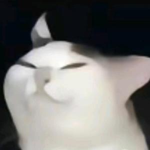 我是太空人头像