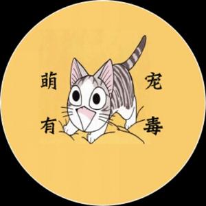 互联网苏乞儿头像