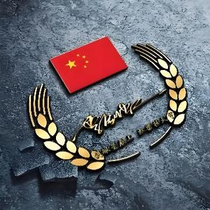 在云间俯瞰地的天使头像