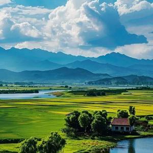 山河向新头像