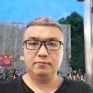 财智猫头像