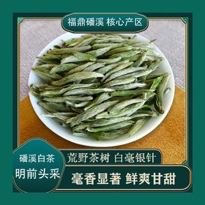 茶人周福鼎白茶头像