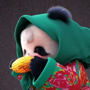小罗锅头像