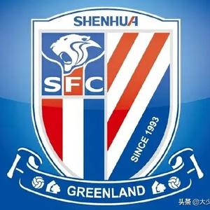 嘉定上海申花是冠军头像