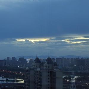 大路伴读头像