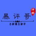 暴评哥VLOG头像