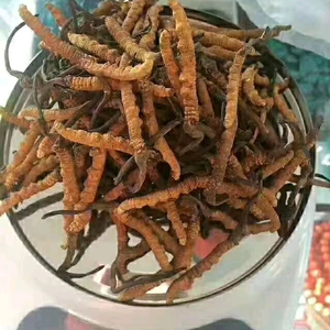 东来零食头像
