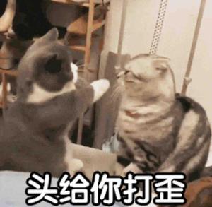 刘川疯疯头像