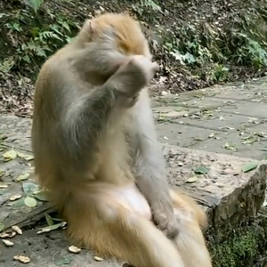 八八八头像