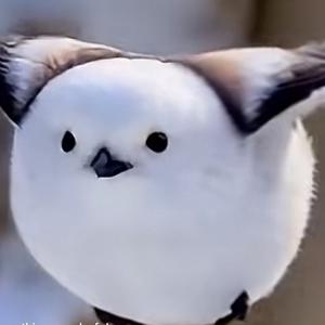迷恋上烟的人头像