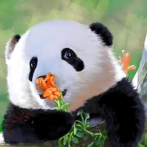 小梓说动物头像