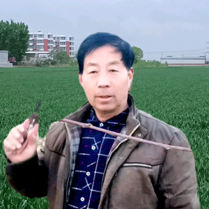 沈哥谈果树头像