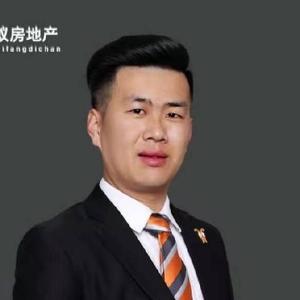 小李房探长头像