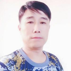 逍遥客一头像