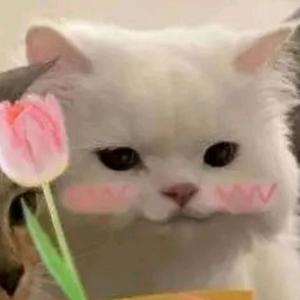 小馨故事头像
