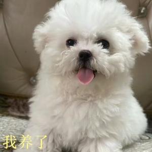 一看笑一天头像