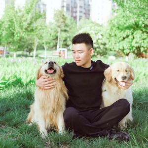 传奇金澜头像