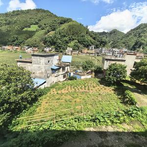 韦黎福头像