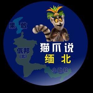 反黑组猫爪头像