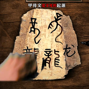 中医冯斌头像