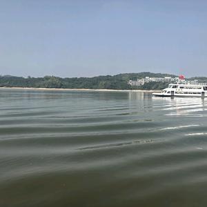 沧浪客1226头像