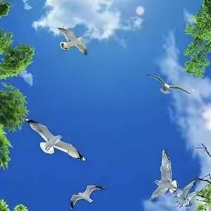 东东顺顺头像