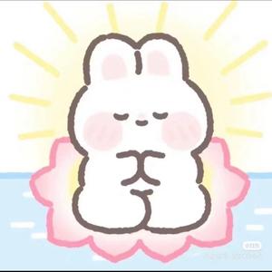 兔徐蔡头像