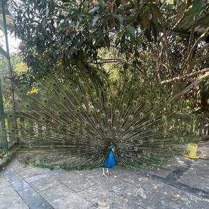 与你说事头像