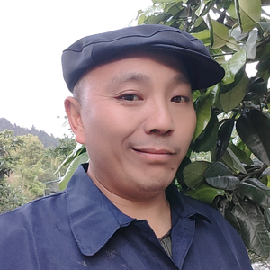 张心慌头像