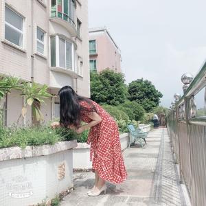 40岁楚楚的退休生活头像