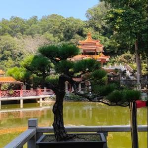 烟火人间头像