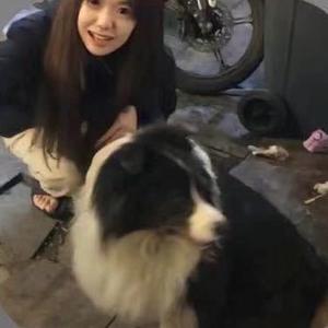 大猛（晋级赛/补分）头像
