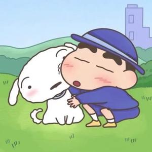 大星的新新头像