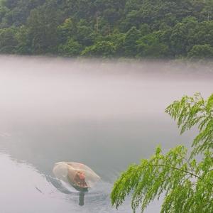 蓝晒头像