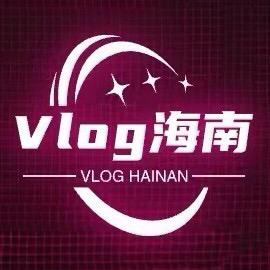 Vlog海南头像