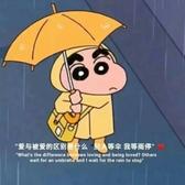 乘风破浪有一头像