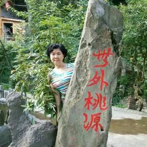 诗意柳叶1头像