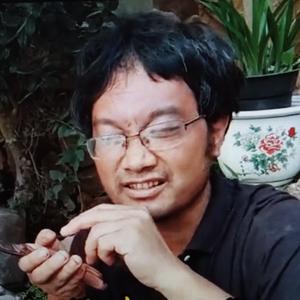 佳萌弄花头像