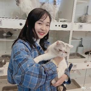段方宜头像