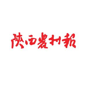 陕西农村报头像