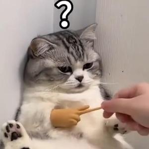 博你一笑头像