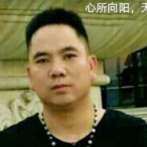 秋之枫头像