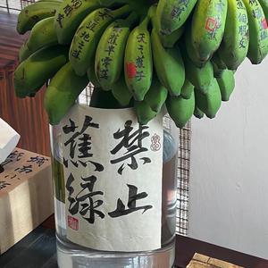 睿睿麻麻记录生活头像