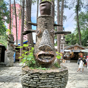 杨建林头像