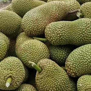 优雅蛋糕6头像